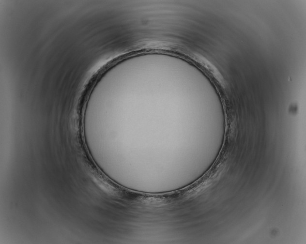 X0000101211027200807251044