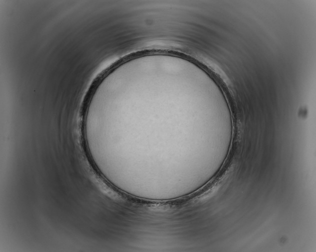 X0000101211029200807251044