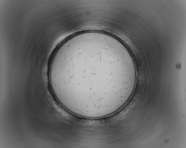 X0000101211030200807251044