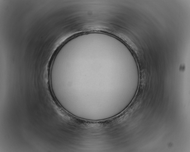 X0000101211031200807251044