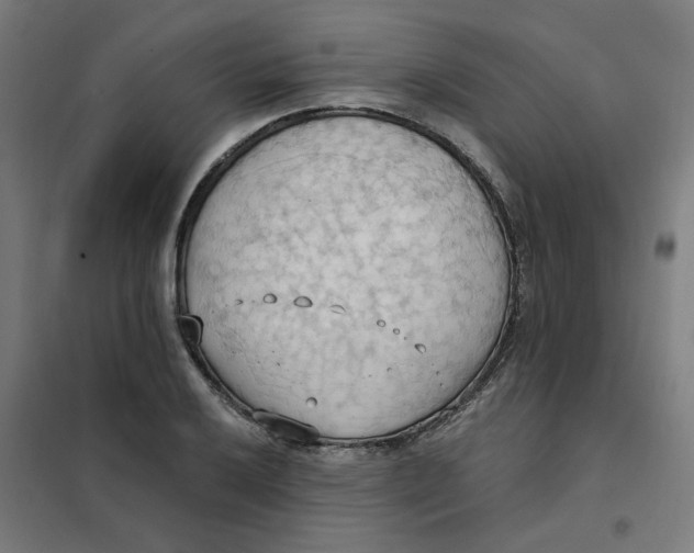 X0000101211032200807251044