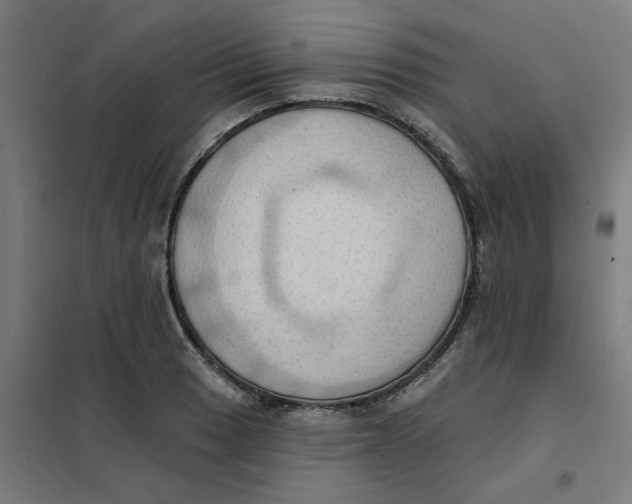 X0000101211033200807251044