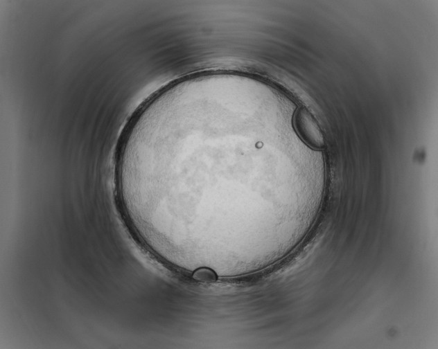 X0000101211034200807251044