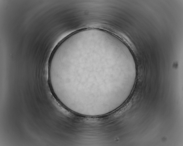 X0000101211036200807251044