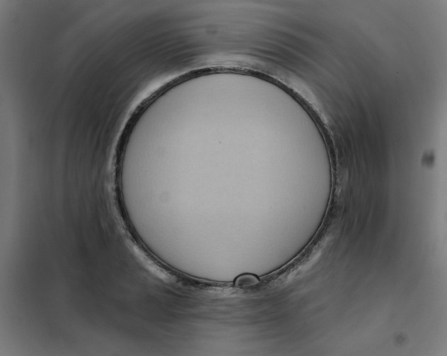 X0000101211037200807251044