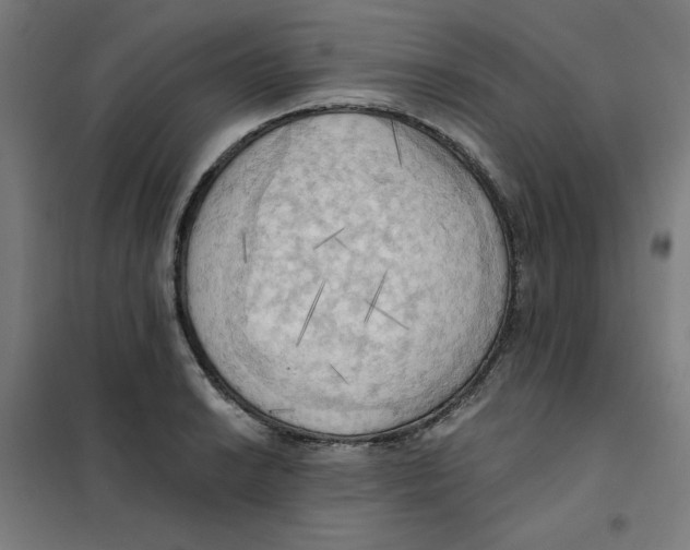X0000101211038200807251044