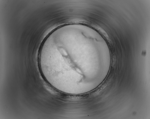 X0000101211039200807251044