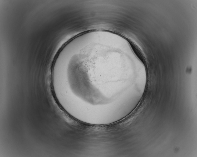 X0000101211040200807251044