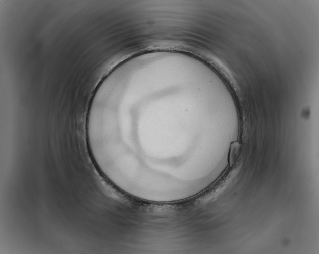 X0000101211041200807251044