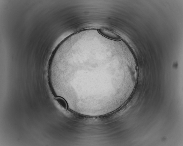 X0000101211042200807251044