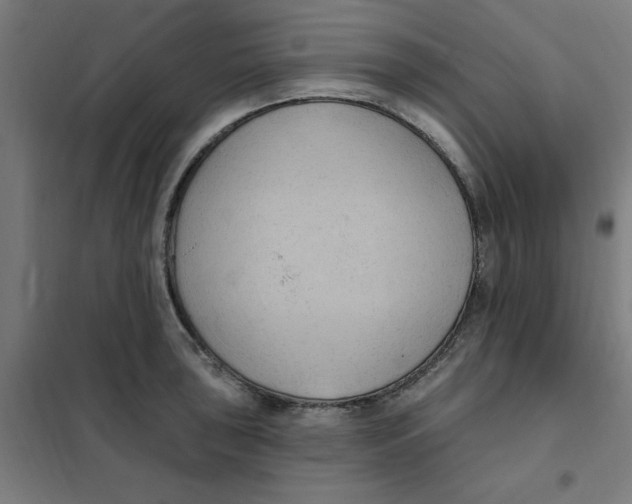 X0000101211043200807251044