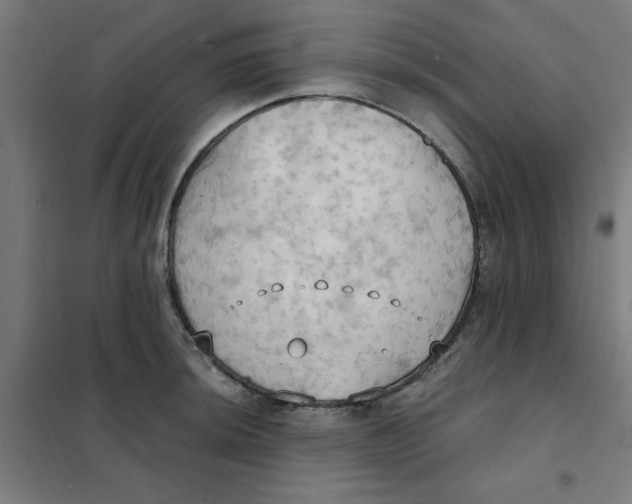 X0000101211044200807251044