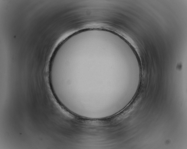 X0000101211045200807251044