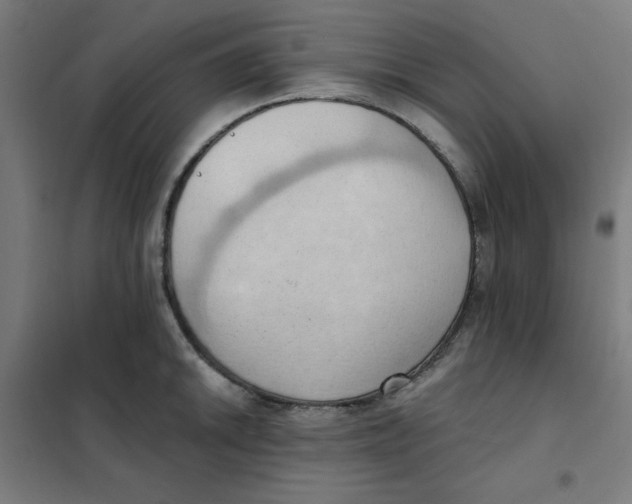 X0000101211046200807251044