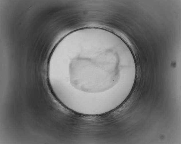 X0000101211048200807251044