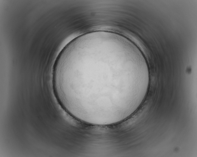 X0000101211050200807251044