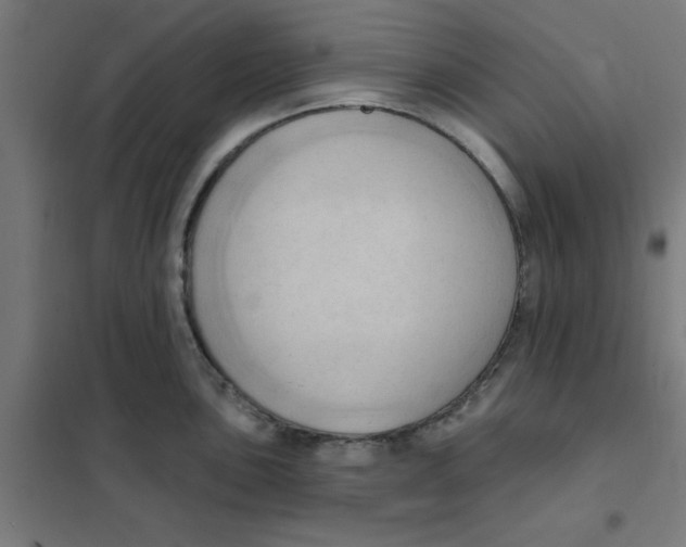 X0000101211051200807251044