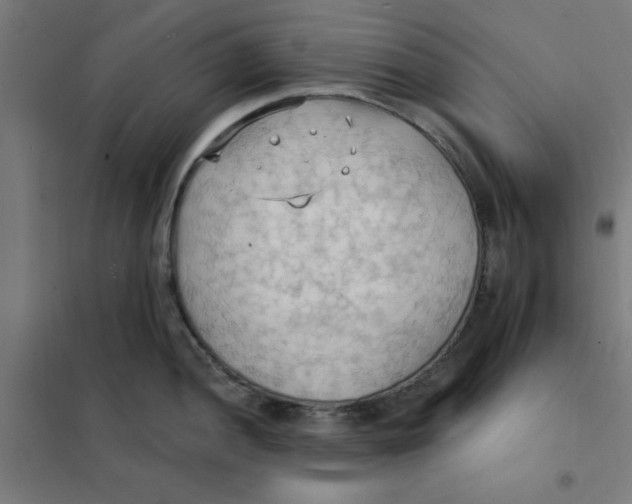 X0000101211052200807251044