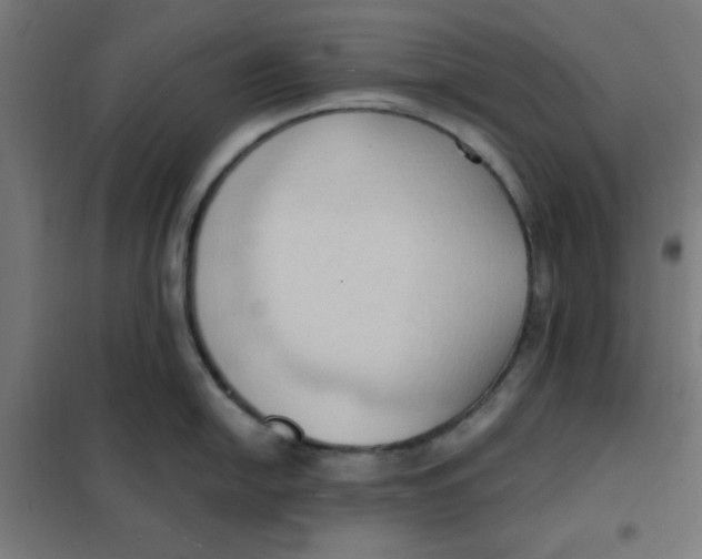 X0000101211054200807251045