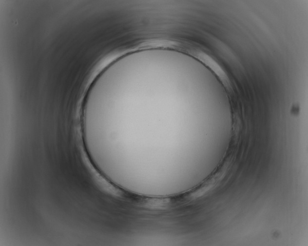 X0000101211055200807251045