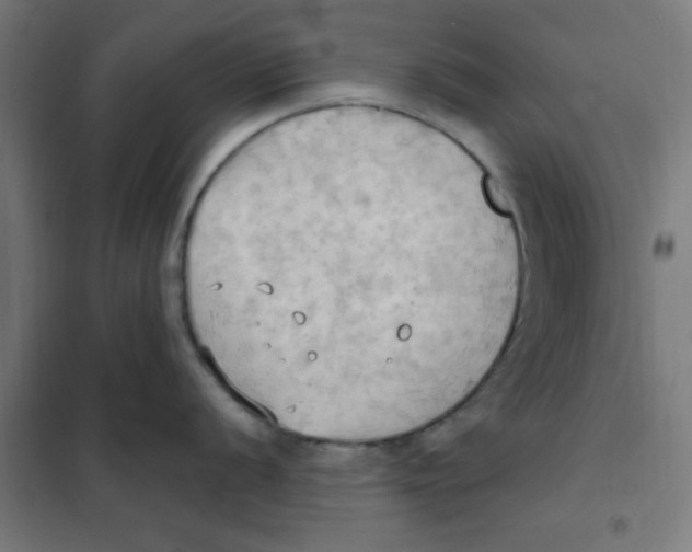 X0000101211056200807251045