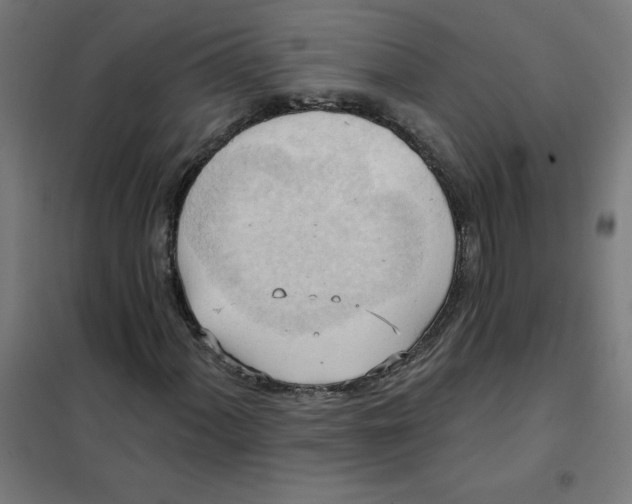 X0000101211060200807251044