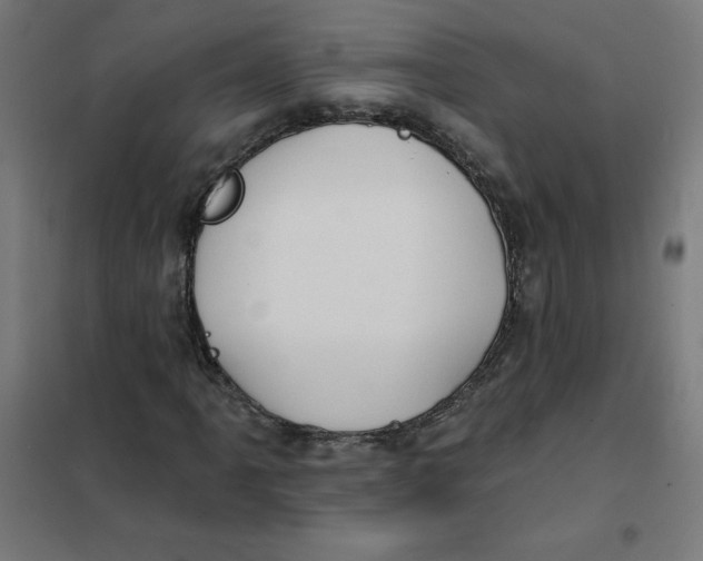 X0000101211061200807251044