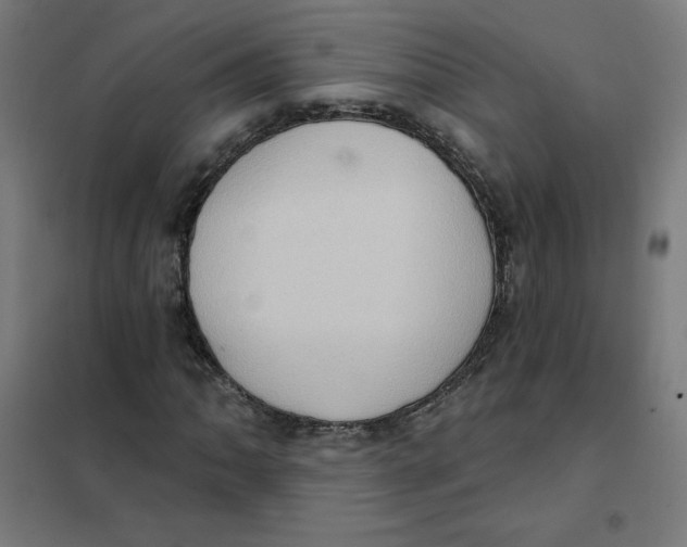 X0000101211062200807251044