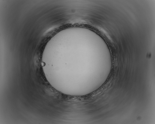 X0000101211063200807251044