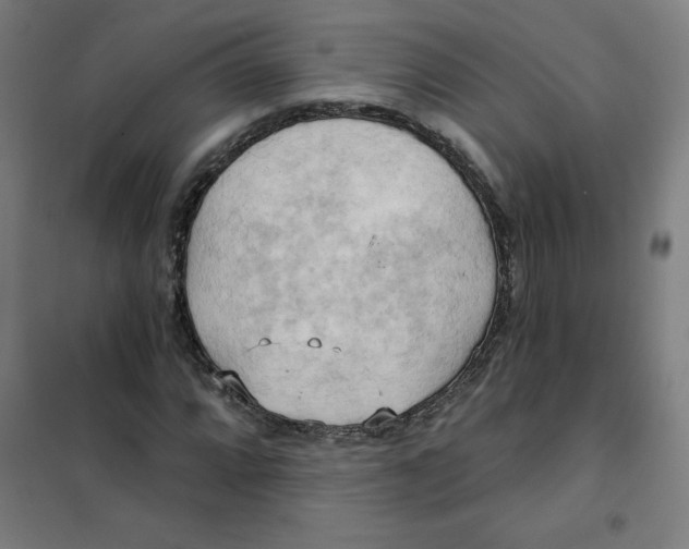 X0000101211064200807251044