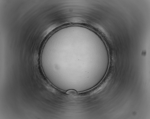 X0000101211065200807251044