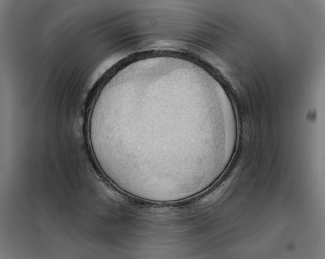 X0000101211066200807251044