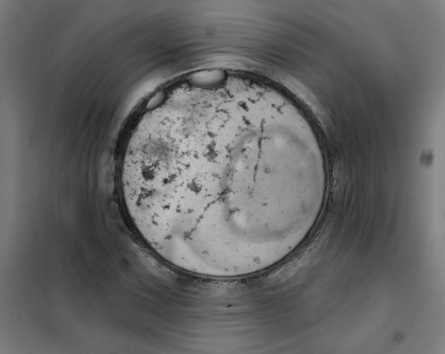 X0000101211067200807251044