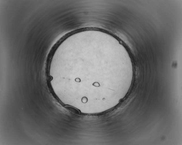 X0000101211068200807251044