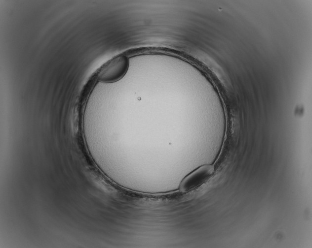 X0000101211069200807251044