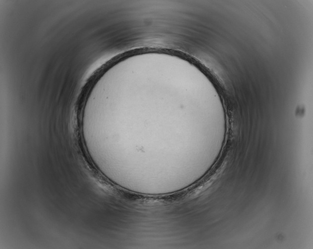 X0000101211070200807251044