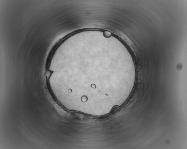 X0000101211072200807251044