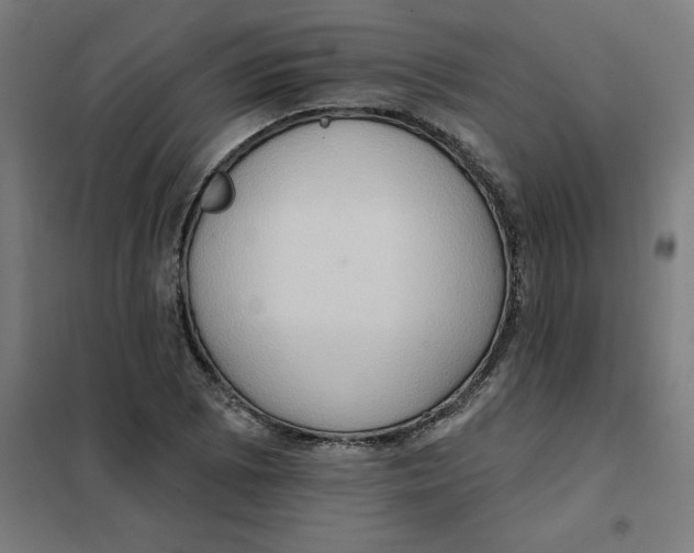 X0000101211073200807251043