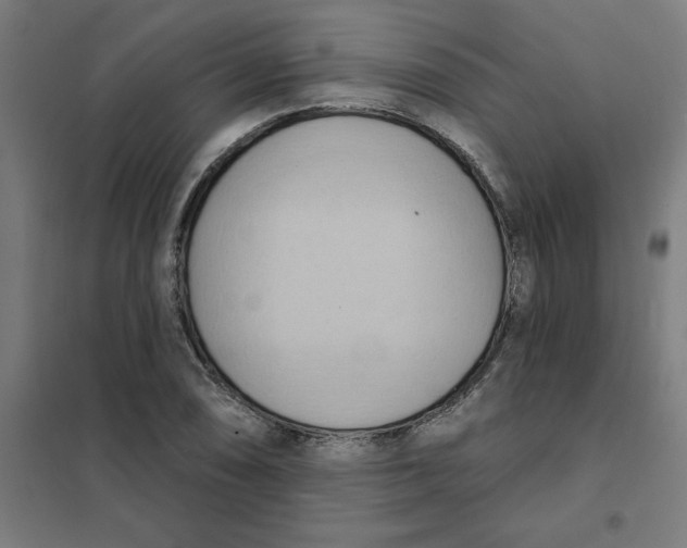 X0000101211074200807251043