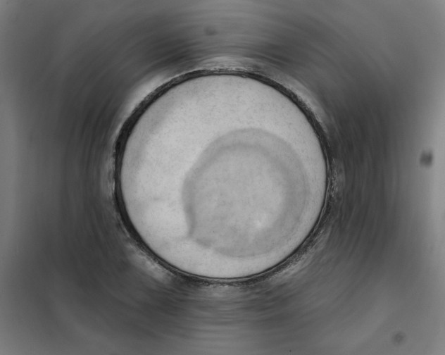 X0000101211075200807251043