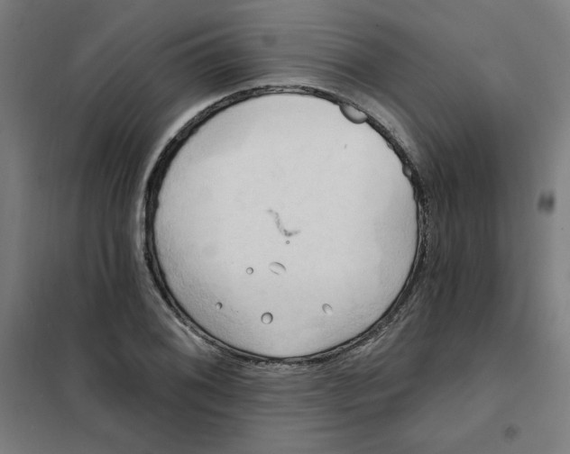 X0000101211076200807251043