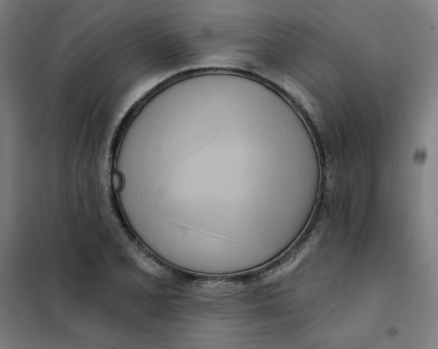 X0000101211077200807251043