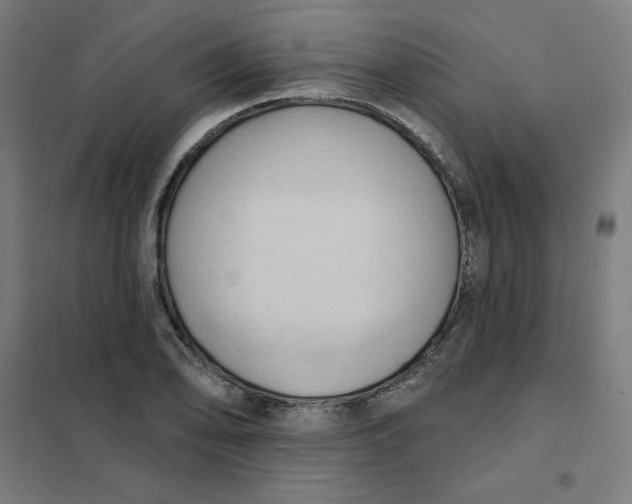 X0000101211078200807251043