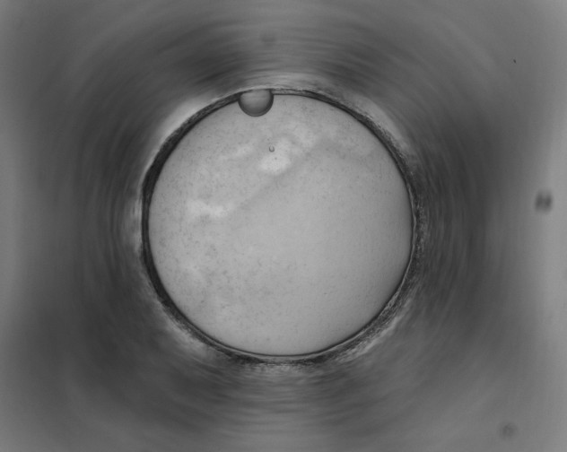 X0000101211079200807251043