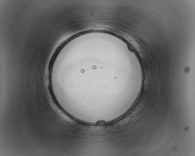 X0000101211080200807251043