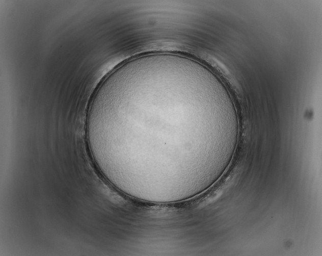 X0000101211081200807251043