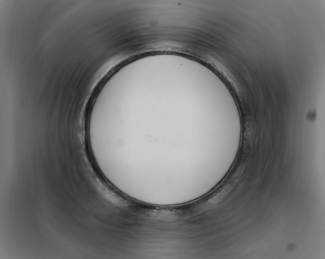 X0000101211082200807251043