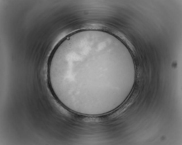 X0000101211083200807251043