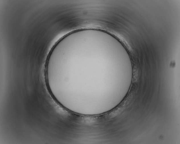 X0000101211086200807251043