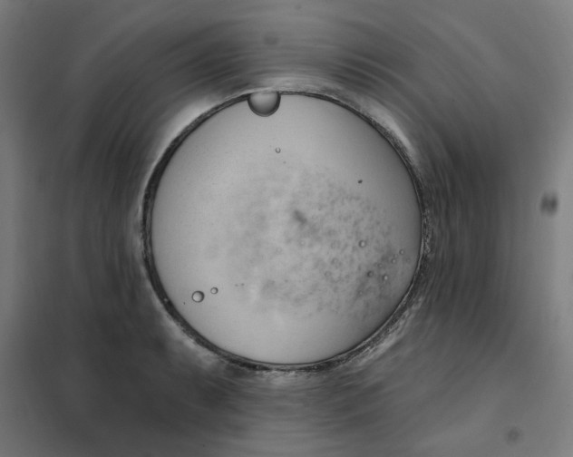 X0000101211087200807251043